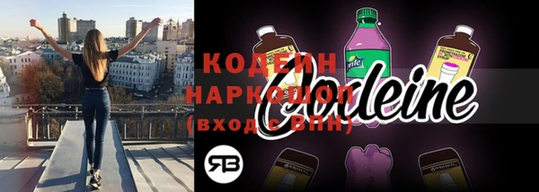 соль ск Арсеньев